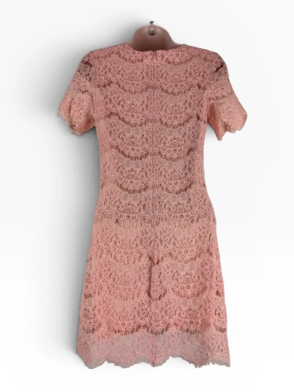 NWT Pink Lily Peach Lace Cocktail Dress Scalloped Hem Wedding Guest S